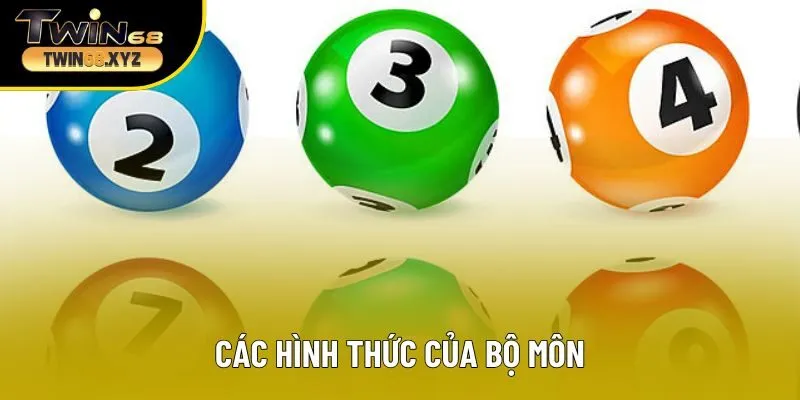 Các hình thức của bộ môn